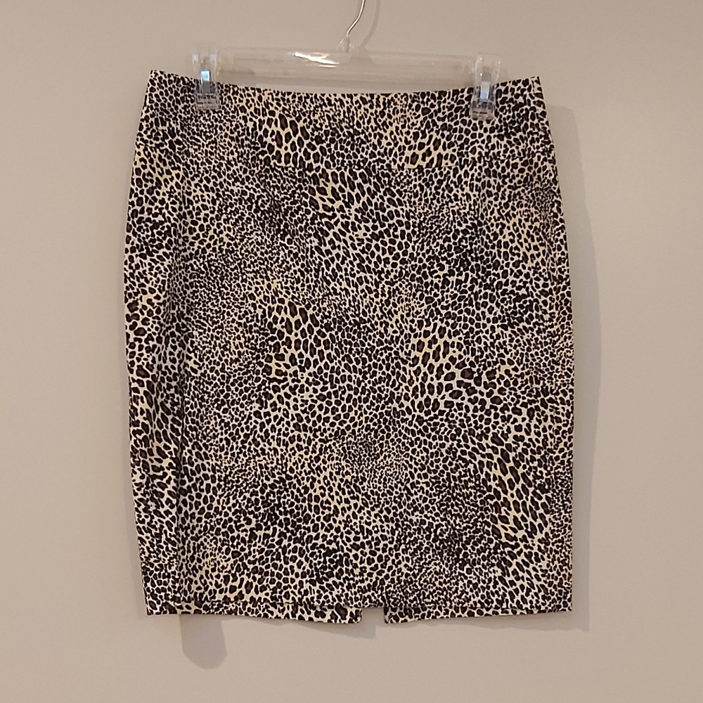 Express skirt